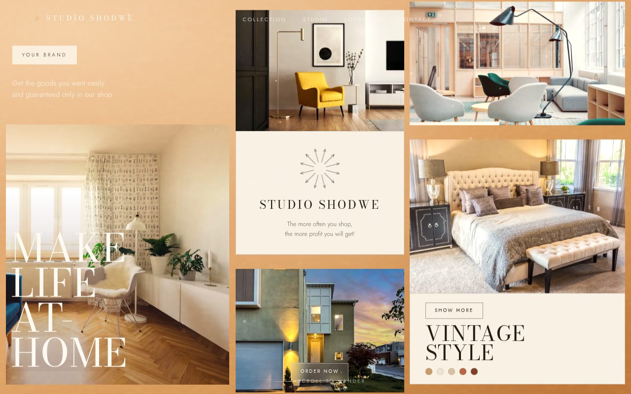 Studio Shodwe website design